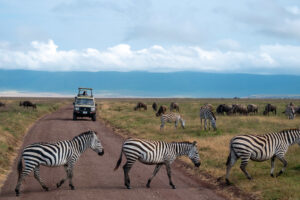 Read more about the article Best Time to Visit Tanzania