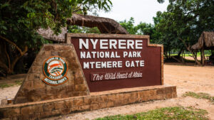 Read more about the article Nyerere National Park