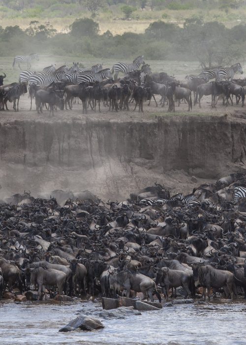 5-Day Great Migration Safari