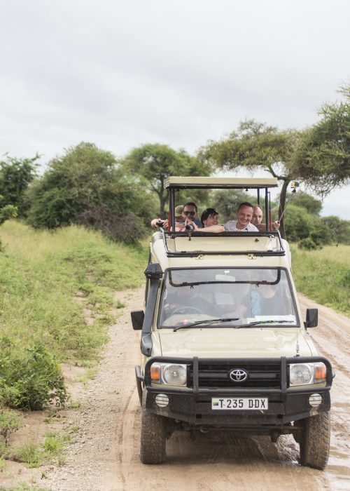 Lake Manyara National Park Safari