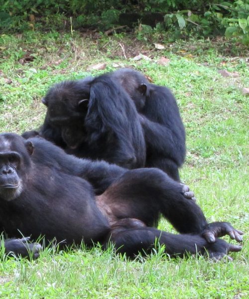 Gombe Stream National Park, Lake Tanganyika, Tanzania