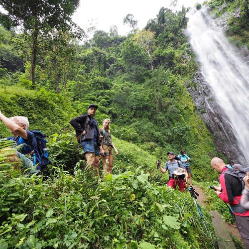 Escape into the lush foothills of Mount Kilimanjaro.